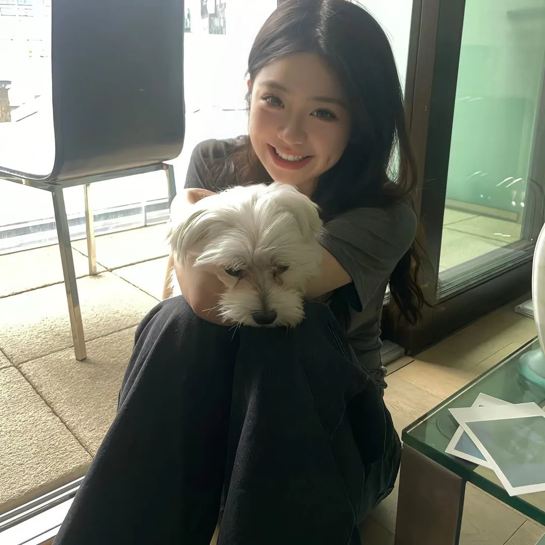 天降神犬2