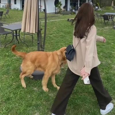 爱，无尽